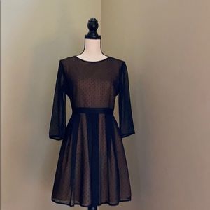 Black Mesh Dress w/ Pink Lining